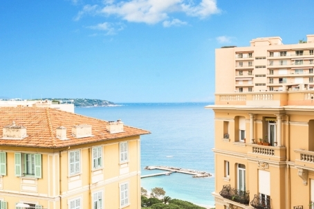Appartement exclusif à Monte-Carlo - RFC31260217AV