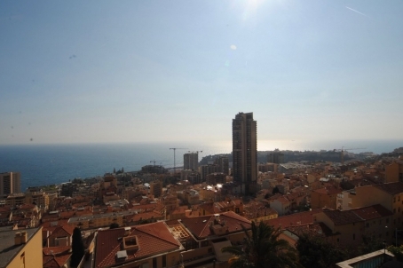Appartements dans un style bourgeois, avec vue sur Monaco - RFC31310317AV