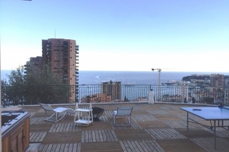 APPARTEMENT DANS VILLA AVEC PISCINE PROXIMITÉ MONACO - RFC31470317AV