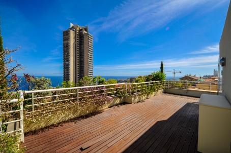 Penthouse with roof terrace - RFC40981217AV