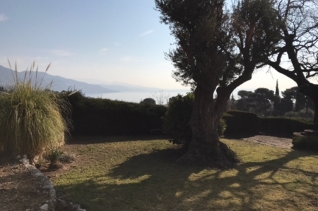 Villa in Roquebrune (needed renovation) - RFC41300418VV