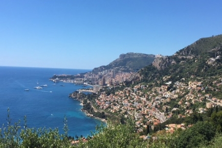 Provencal villa overlooking Monaco - RFC41370418VV