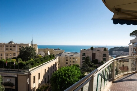 Appartement à quelques pas des jardins du Casino Monte-Carlo - RFC43020921AV