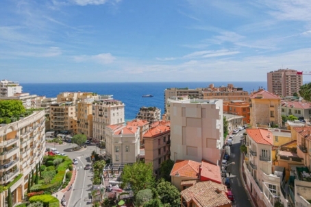 Apartment 211 m2 with sea view in Annonciade - RFC49590824AV